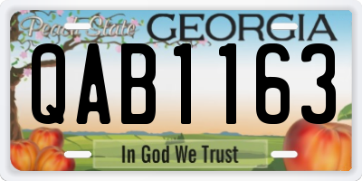 GA license plate QAB1163