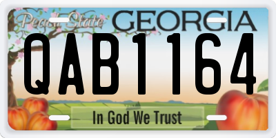 GA license plate QAB1164