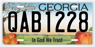 GA license plate QAB1228