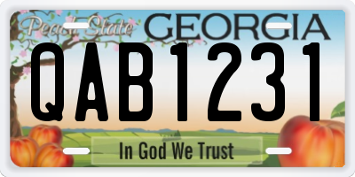 GA license plate QAB1231