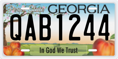GA license plate QAB1244