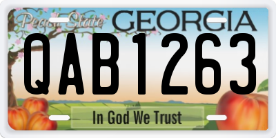 GA license plate QAB1263