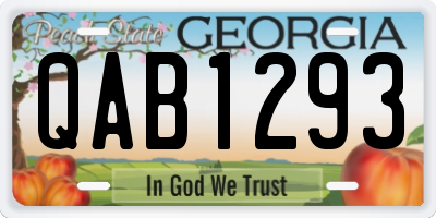 GA license plate QAB1293