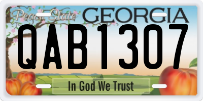 GA license plate QAB1307