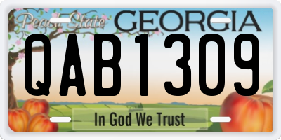 GA license plate QAB1309