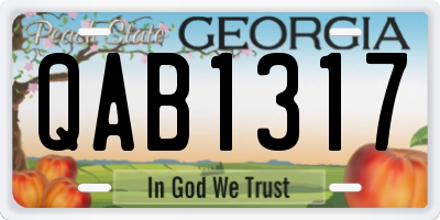 GA license plate QAB1317
