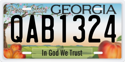 GA license plate QAB1324