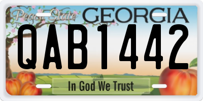 GA license plate QAB1442