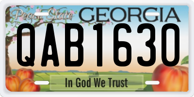 GA license plate QAB1630