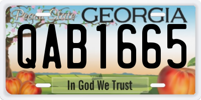GA license plate QAB1665