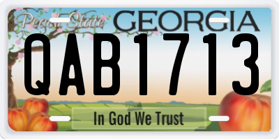 GA license plate QAB1713