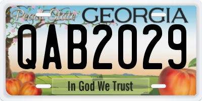 GA license plate QAB2029