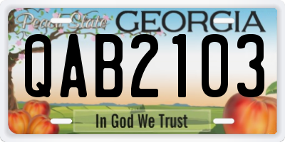GA license plate QAB2103