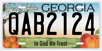 GA license plate QAB2124