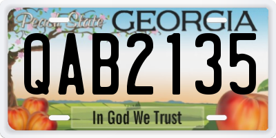 GA license plate QAB2135