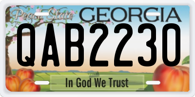 GA license plate QAB2230