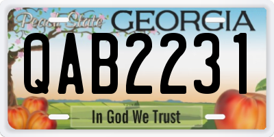 GA license plate QAB2231