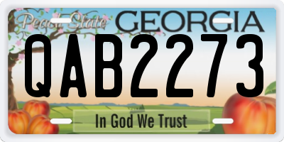 GA license plate QAB2273