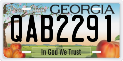 GA license plate QAB2291