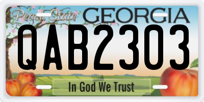 GA license plate QAB2303