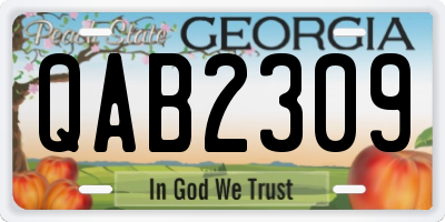 GA license plate QAB2309