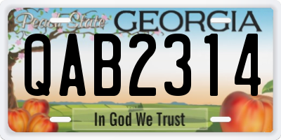 GA license plate QAB2314