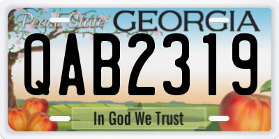 GA license plate QAB2319