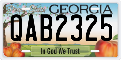 GA license plate QAB2325