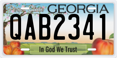GA license plate QAB2341