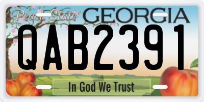 GA license plate QAB2391