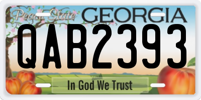 GA license plate QAB2393