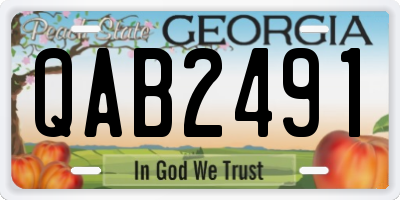 GA license plate QAB2491