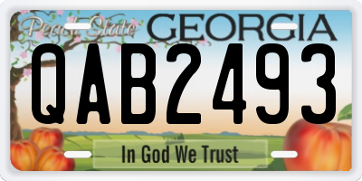 GA license plate QAB2493