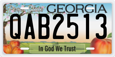 GA license plate QAB2513
