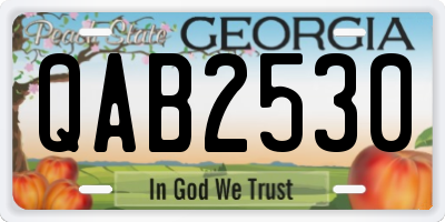 GA license plate QAB2530