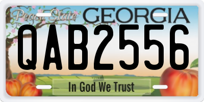 GA license plate QAB2556