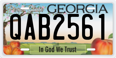 GA license plate QAB2561