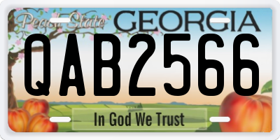 GA license plate QAB2566