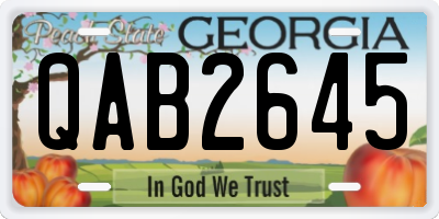 GA license plate QAB2645