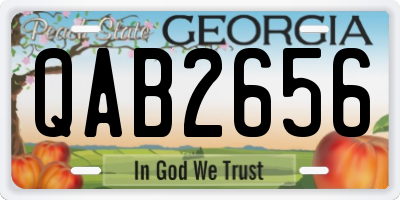 GA license plate QAB2656