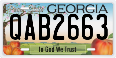 GA license plate QAB2663