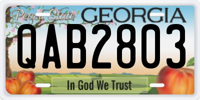 GA license plate QAB2803