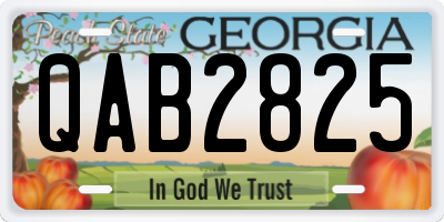 GA license plate QAB2825