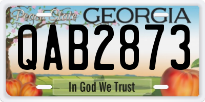 GA license plate QAB2873