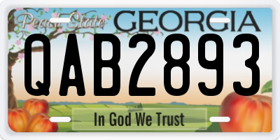 GA license plate QAB2893