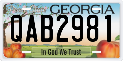 GA license plate QAB2981