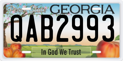 GA license plate QAB2993