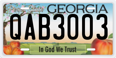 GA license plate QAB3003