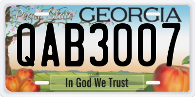 GA license plate QAB3007