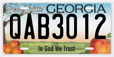 GA license plate QAB3012